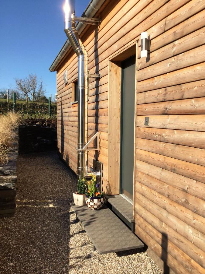 Bio-Ferienhaus Newergarten Wadern Exteriör bild